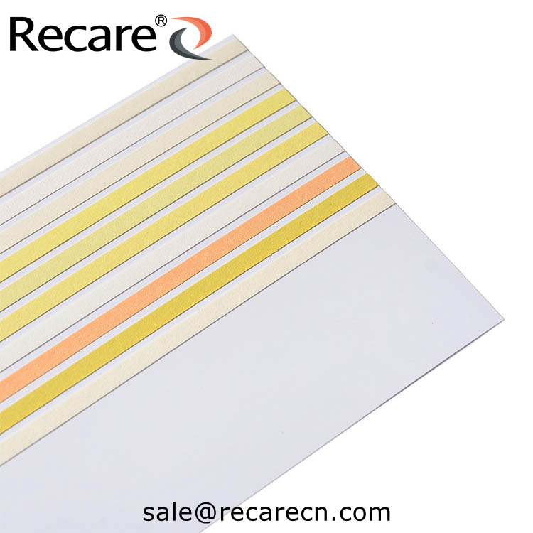 10sg urine reagent strips